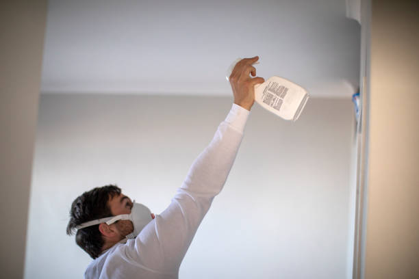 Best Crawl Space Mold Removal  in Durant, IA